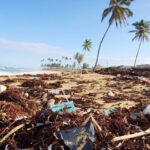 waste disposal on islands