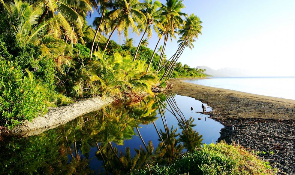 islands are hotspots of biodiversity